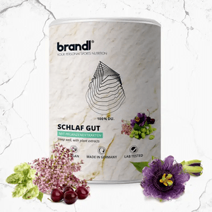 Brandl Nutrition Schlaf Gut Kapseln (mit Melatonin)